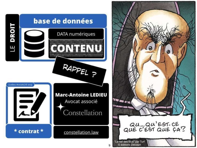 228-blockchain-avocat-technique-juridique-6-BASE-DE-DONNEES-©Ledieu-Avocats-Constellation.009-1024x768