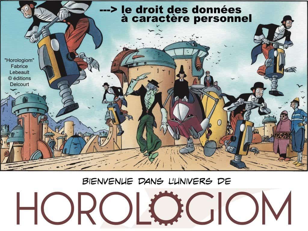 235-RGPD-GDPR-e-Privacy-SYNTHESE-audit-contrat-Constellation-Avocats-©Ledieu-Avocats.009-1-1024x768