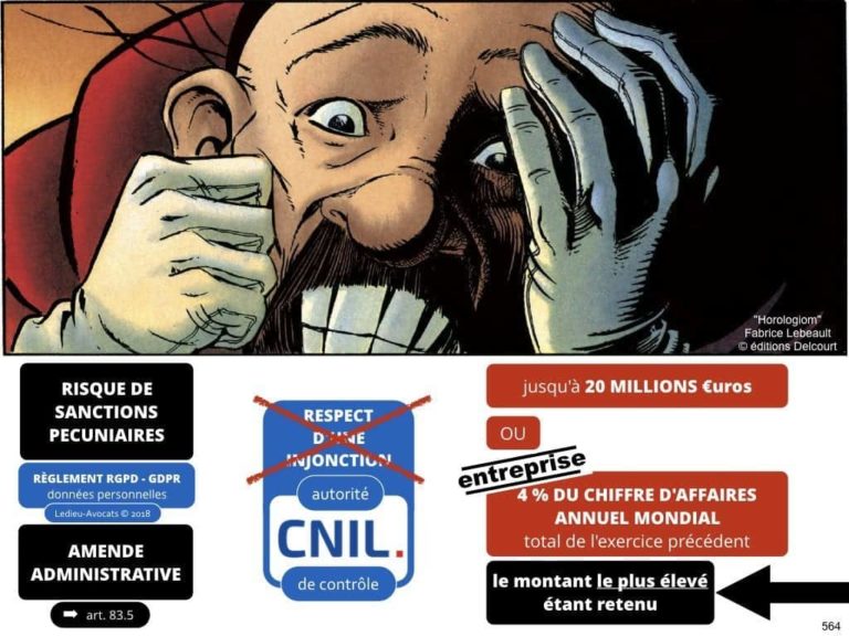 235-RGPD-GDPR-e-Privacy-SYNTHESE-audit-contrat-Constellation-Avocats-©Ledieu-Avocats.564-1024x768