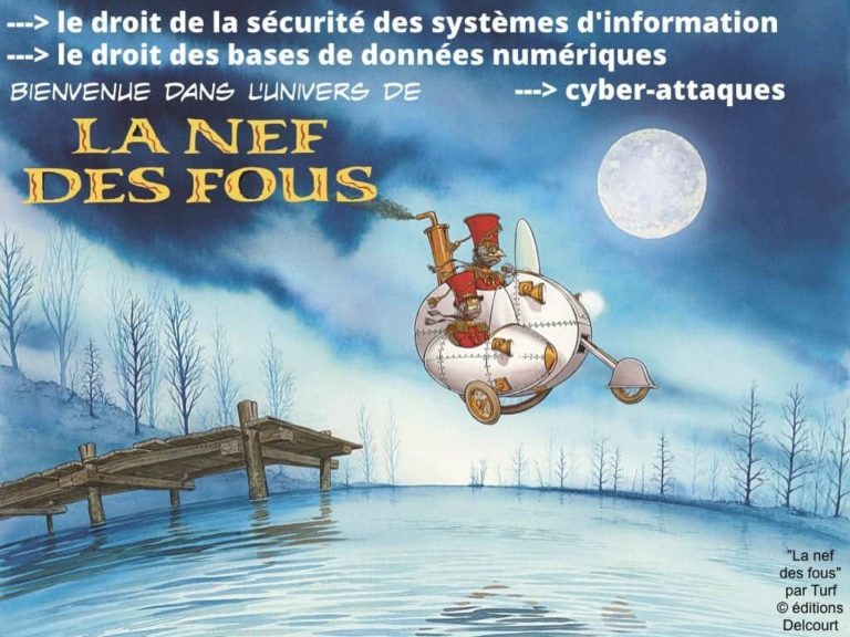 235-RGPD-GDPR-e-Privacy-SYNTHESE-audit-contrat-Constellation-Avocats-©Ledieu-Avocats.579-1024x768