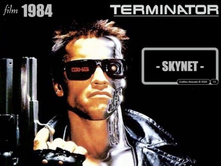 291-système-d’information-et-sécurité-du-réseau-dadministration-du-SI-©-Ledieu-Avocats-12-05-2020.013