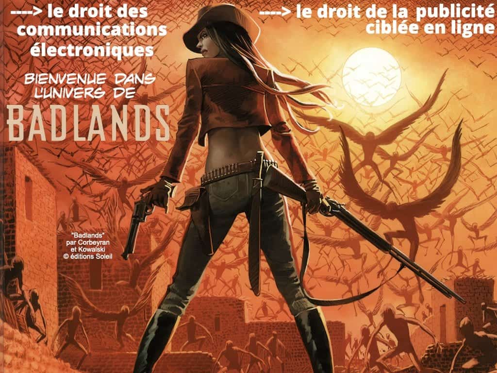 291-système-d’information-et-sécurité-du-réseau-dadministration-du-SI-©-Ledieu-Avocats-12-05-2020.199