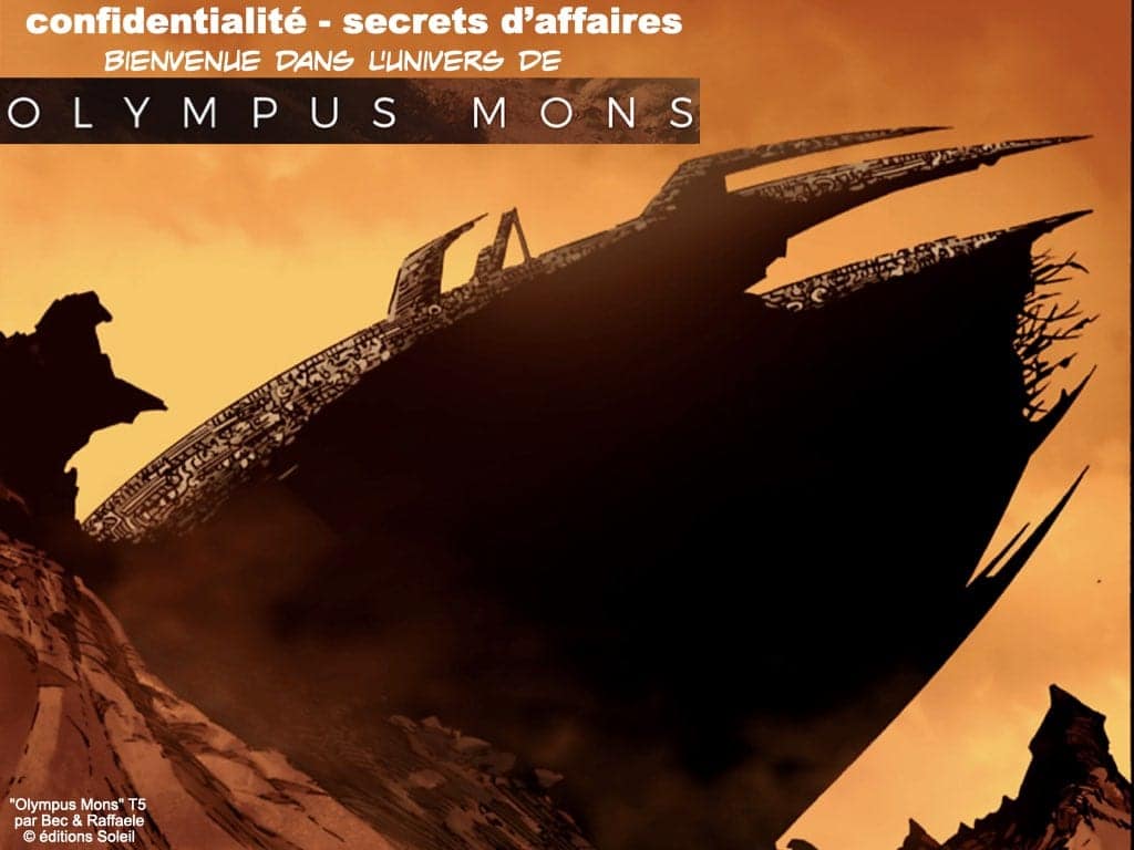 291-système-d’information-et-sécurité-du-réseau-dadministration-du-SI-©-Ledieu-Avocats-12-05-2020.202