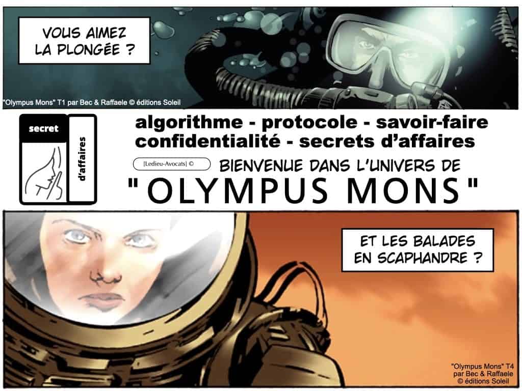 291-système-d’information-et-sécurité-du-réseau-dadministration-du-SI-©-Ledieu-Avocats-12-05-2020.203