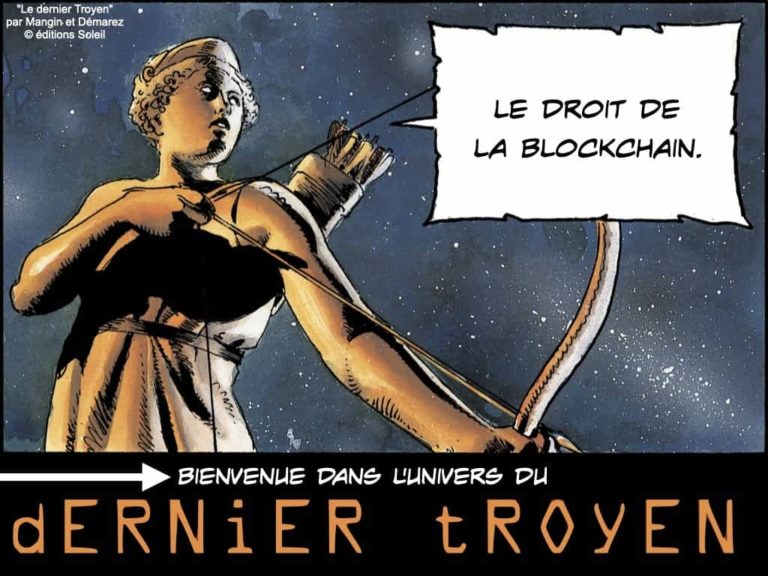 webinar-POLYTECHNIQUE-5-juin-2020-Blockchain-et-token-quelle-protection-juridique-Constellation-©-Ledieu-Avocats-05-06-2020.253