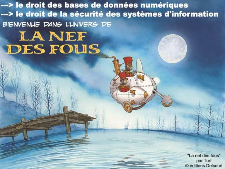 webinar-POLYTECHNIQUE-5-juin-2020-Blockchain-et-token-quelle-protection-juridique-Constellation-©-Ledieu-Avocats-05-06-2020.262