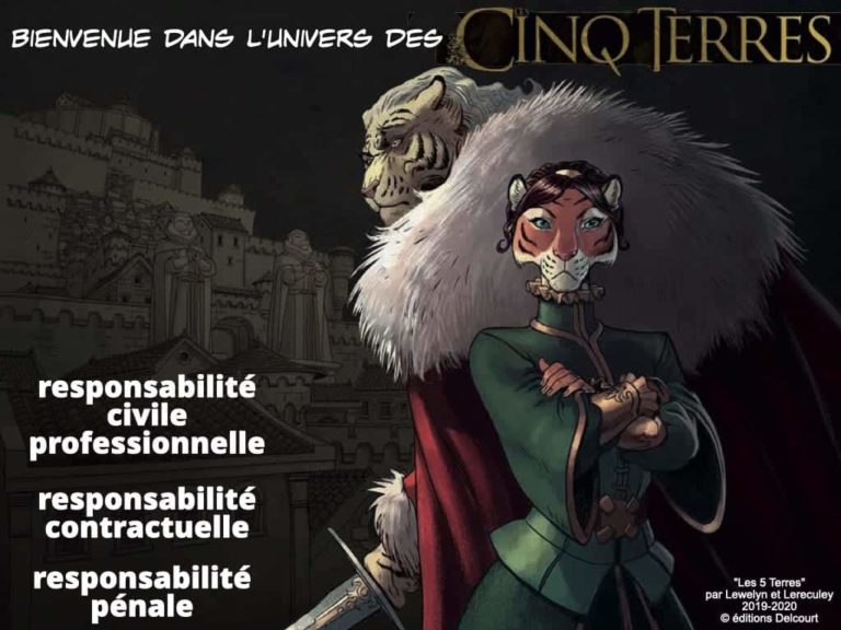 webinar-POLYTECHNIQUE-5-juin-2020-Blockchain-et-token-quelle-protection-juridique-Constellation-©-Ledieu-Avocats-05-06-2020.265