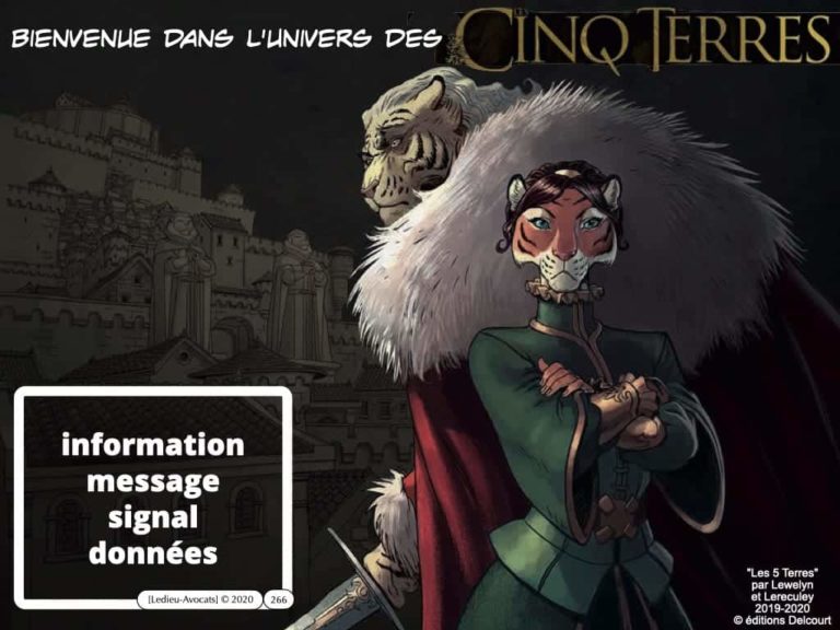 webinar-POLYTECHNIQUE-5-juin-2020-Blockchain-et-token-quelle-protection-juridique-Constellation-©-Ledieu-Avocats-05-06-2020.266