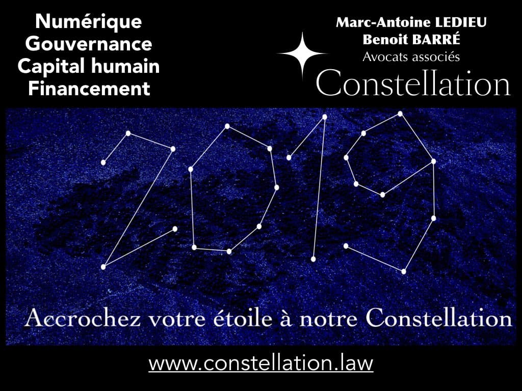 268-RGPD-GDPR-e-Privacy-6-les-données-personnelles-des-entreprises-Constellation©Ledieu-Avocats-09-10-2019.046