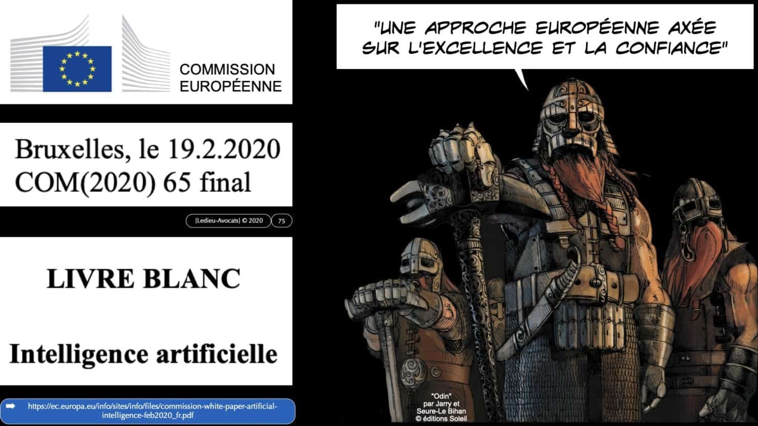 307 Intelligence artificielle-machine-learning-deep-learning-base de données-BIG-DATA *16:9* Constellation ©Ledieu-Avocat-13-10-2020.075