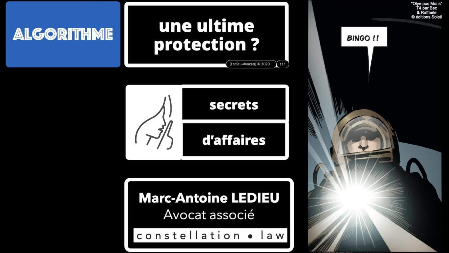 307 Intelligence artificielle-machine-learning-deep-learning-base de données-BIG-DATA *16:9* Constellation ©Ledieu-Avocat-13-10-2020.111