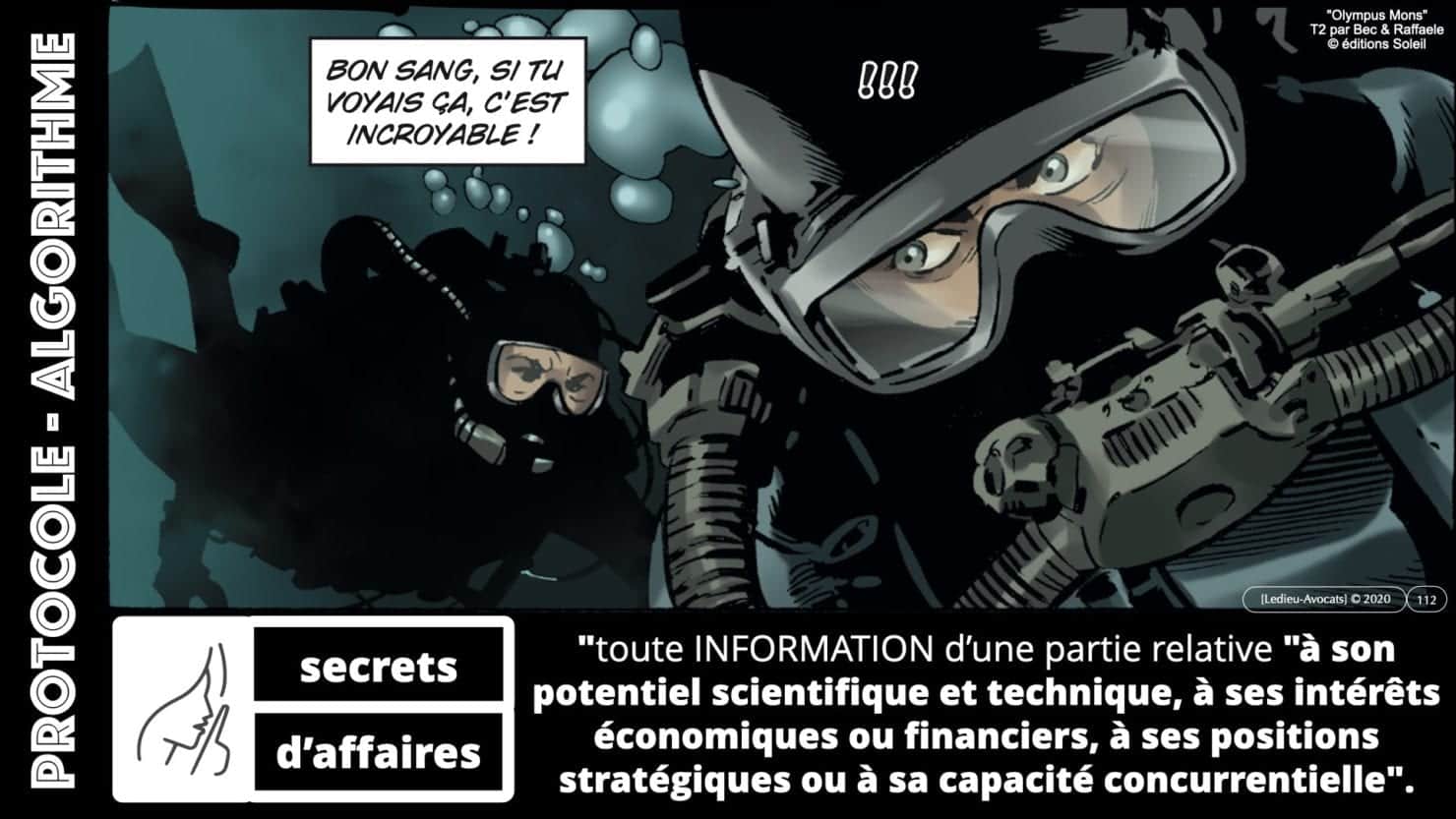 307 Intelligence artificielle-machine-learning-deep-learning-base de données-BIG-DATA *16:9* Constellation ©Ledieu-Avocat-13-10-2020.112