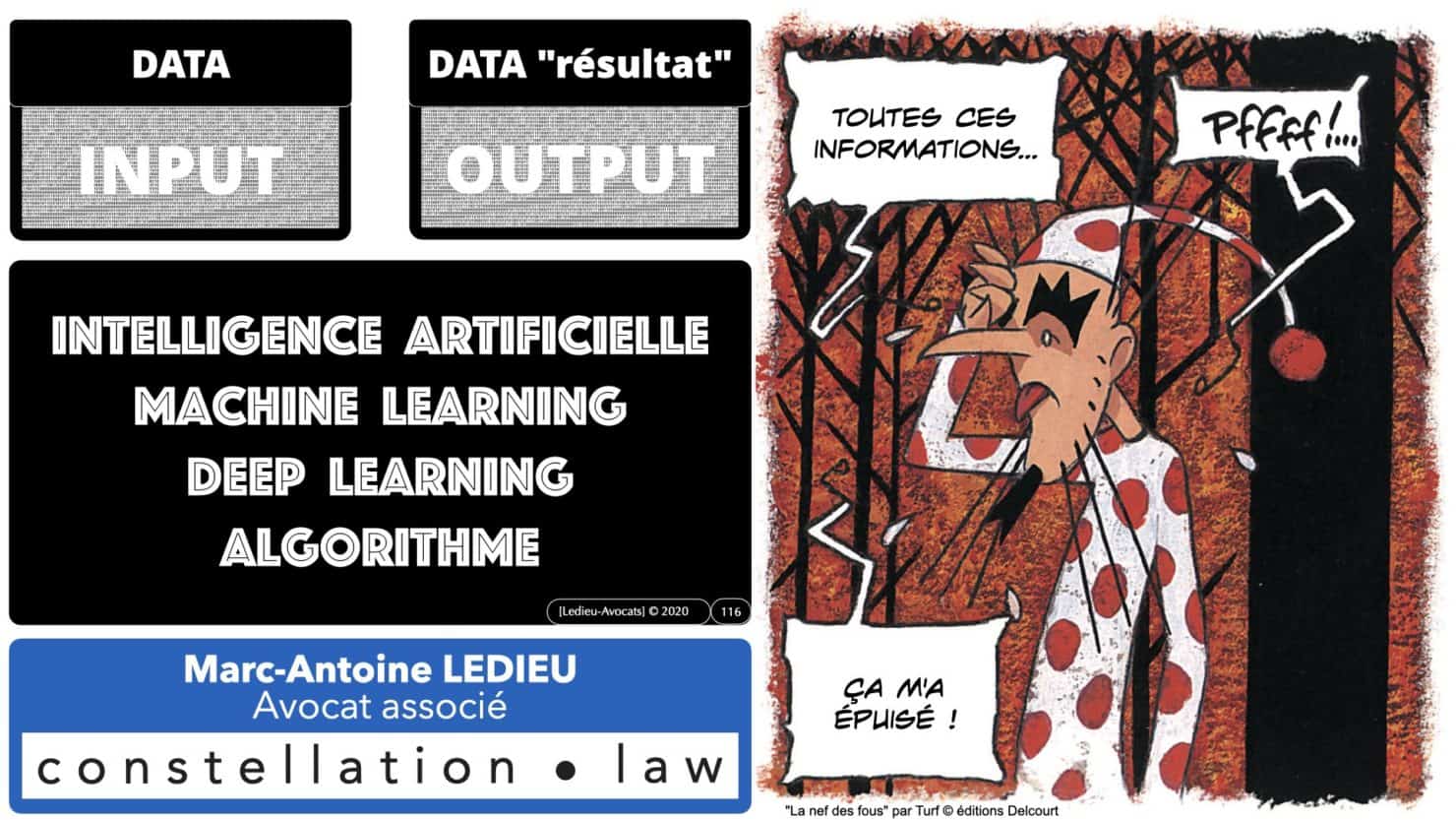 307 Intelligence artificielle-machine-learning-deep-learning-base de données-BIG-DATA *16:9* Constellation ©Ledieu-Avocat-13-10-2020.116