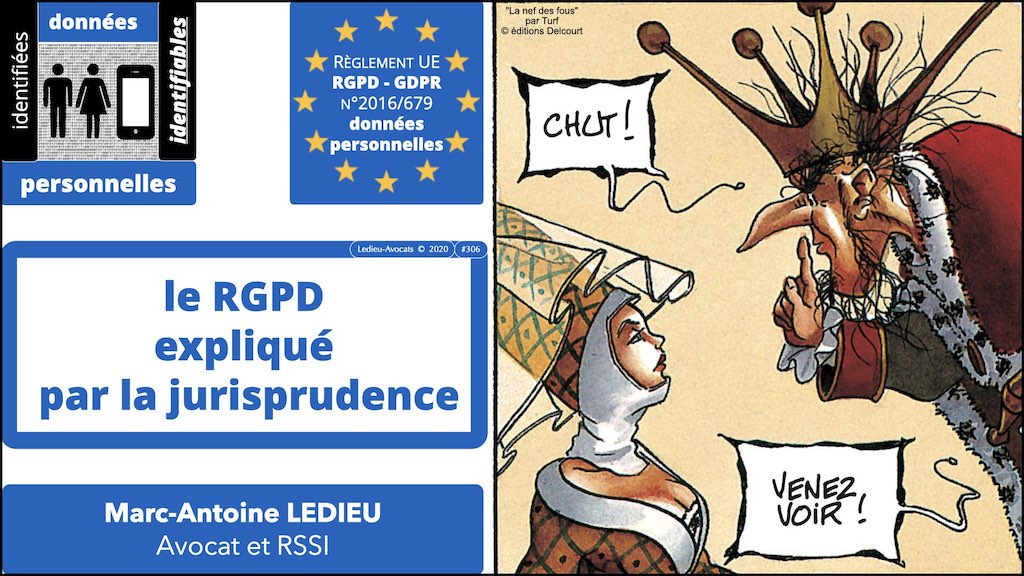 #306 RGPD et jurisprudence 2011 à 2020