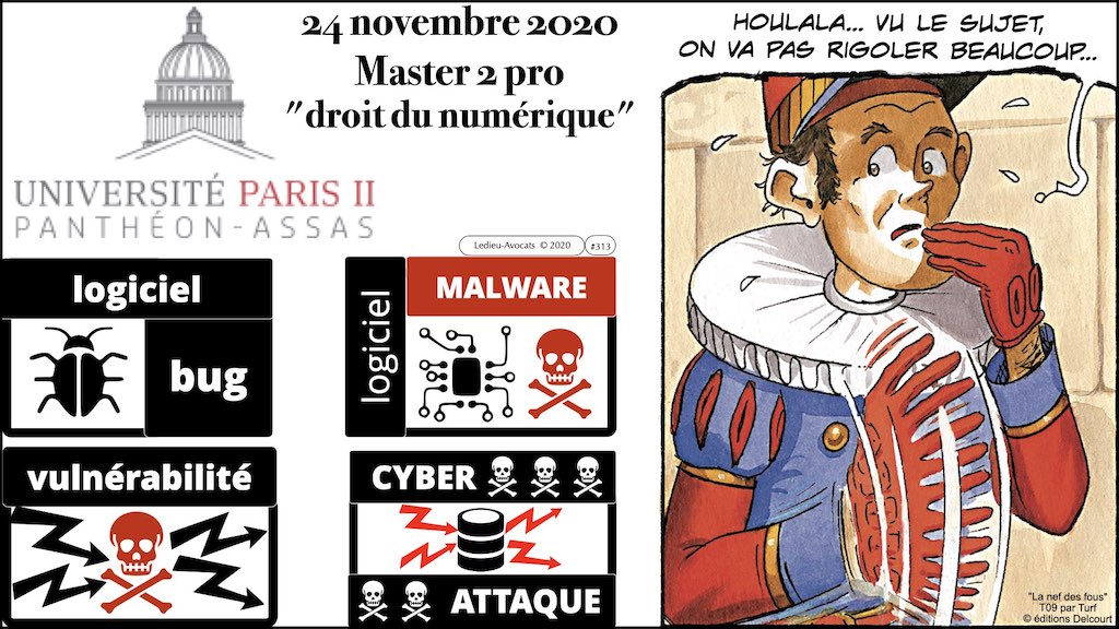 #313 logiciel bug malware vulnérabilité [cours M2 pro]