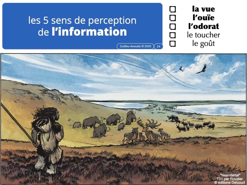 les 5 sens de perception de l'information (sans encodage ni transport)
