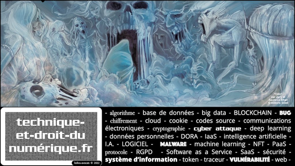 #374 qui est propriétaire du logiciel ? employeur ? salarié(s) prestataire développeur ? © Ledieu-Avocats technique droit numerique 17-01-2022.004