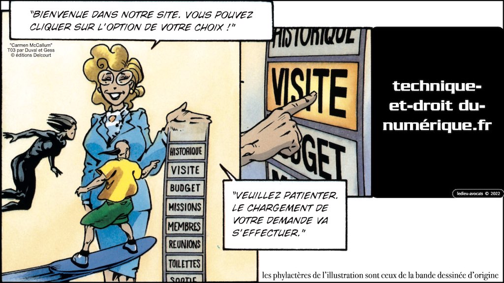 #374 qui est propriétaire du logiciel ? employeur ? salarié(s) prestataire développeur ? © Ledieu-Avocats technique droit numerique 17-01-2022.013