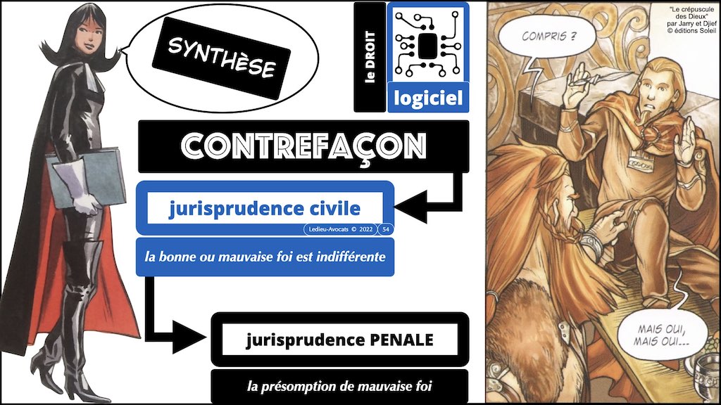 #374 qui est propriétaire du logiciel ? employeur ? salarié(s) prestataire développeur ? © Ledieu-Avocats technique droit numerique 17-01-2022.054