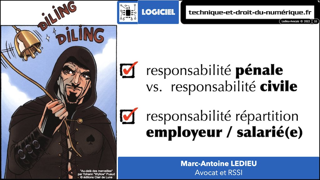 #374 qui est propriétaire du logiciel ? employeur ? salarié(s) prestataire développeur ? © Ledieu-Avocats technique droit numerique 17-01-2022.055
