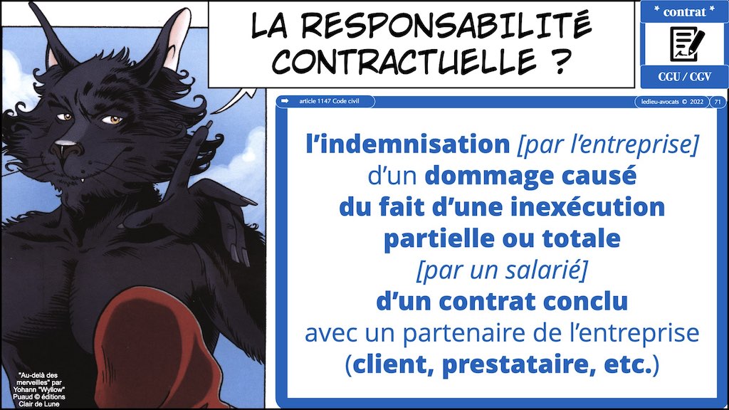#374 qui est propriétaire du logiciel ? employeur ? salarié(s) prestataire développeur ? © Ledieu-Avocats technique droit numerique 17-01-2022.071