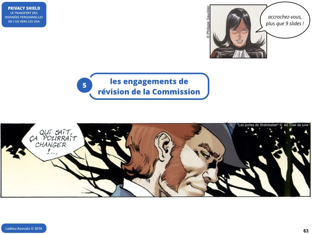 Privacy Shield 12 juillet 2016 Safe Harbor CJUE Schrems [Ledieu-Avocats].063