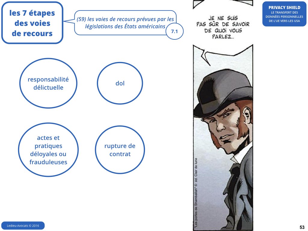 Privacy Shield 12 juillet 2016 Safe Harbor CJUE Schrems [Ledieu-Avocats].053