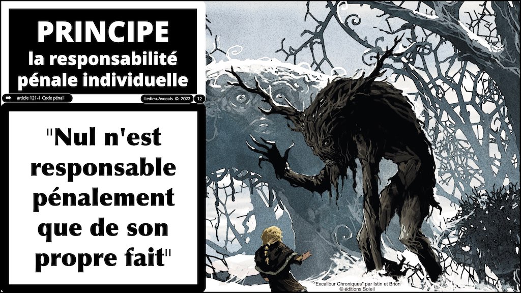 #000 RESPONSABILITE pénale civile contractuelle © Ledieu-Avocats 25-10-2022.012