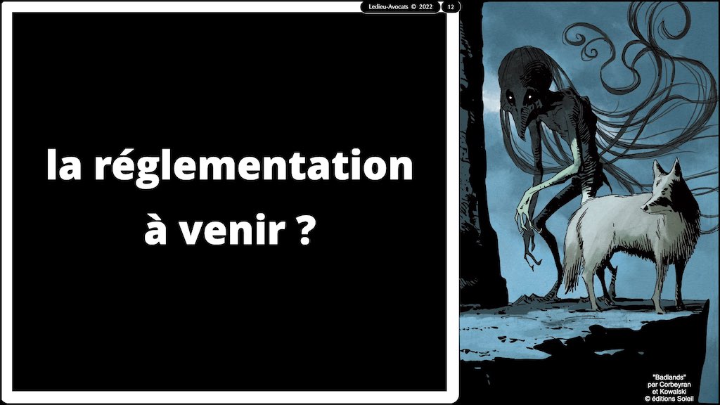 #416 RGPD principes jurisprudence actualité pratique #01 TEXTES + preuve + sanctions © Ledieu-Avocats 05-10-2022.012