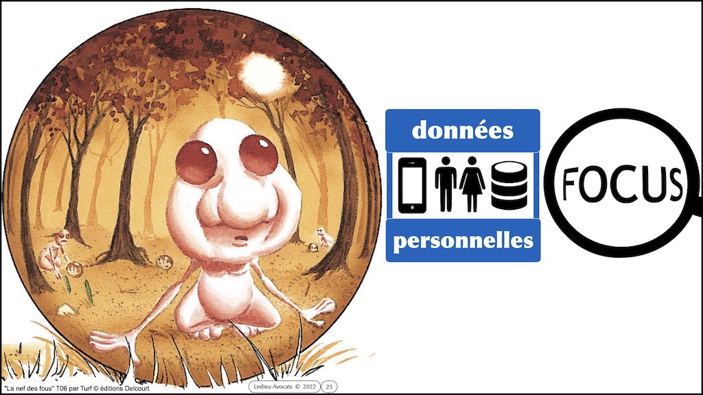 #416 RGPD principes jurisprudence actualité pratique #02.1 CONTENU METADONNEE DONNEES PERSONNELLES © Ledieu-Avocats 05-10-2022.025