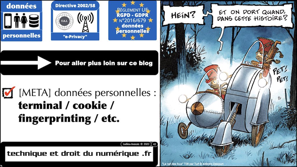#416 RGPD principes jurisprudence actualité pratique #02.2 CONTENU METADONNEE DONNEES PERSONNELLES © Ledieu-Avocats 05-10-2022.001