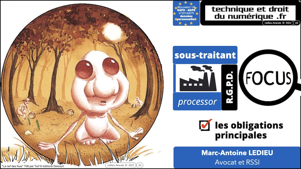 #416 RGPD principes jurisprudence actualité pratique #04.1 RT + ST © Ledieu-Avocats 05-10-2022.020