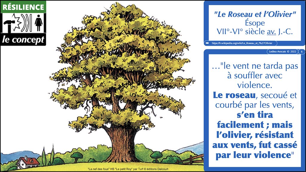 #426 DORA expliqué aux pro de l'assurance Diot Siaci © Ledieu-Avocats 14-11-2022.006