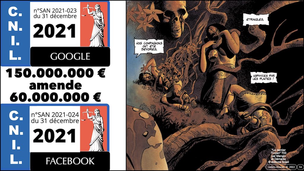 #432-07 RGPD synthèse + CNIL jurisprudence actualité © Ledieu-Avocats 04-12-2022.054
