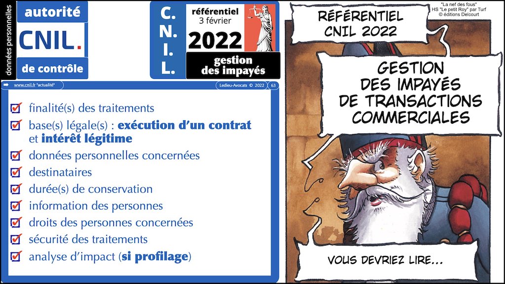 #432-07 RGPD synthèse + CNIL jurisprudence actualité © Ledieu-Avocats 04-12-2022.063