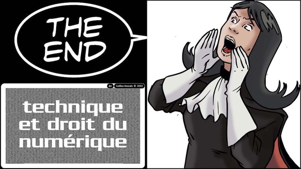 #432-07 RGPD synthèse + CNIL jurisprudence actualité © Ledieu-Avocats 04-12-2022.084