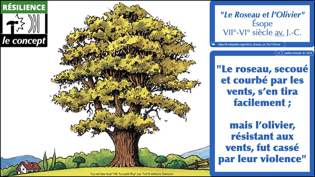 #439 DORA règlement UE 2022:2554 du 14 décembre 2022 #DORA expliqué en BD aux juristes et aux avocats de Cyberlex © Ledieu-Avocats 27-12-2022.015