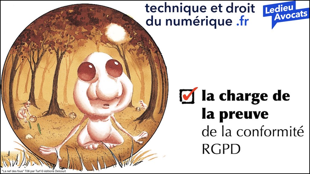 #462 principes RGPD actualité données personnelles jurisprudence CNIL #01 TEXTES + preuve + sanctions © Ledieu-Avocats 11-04-2023.016