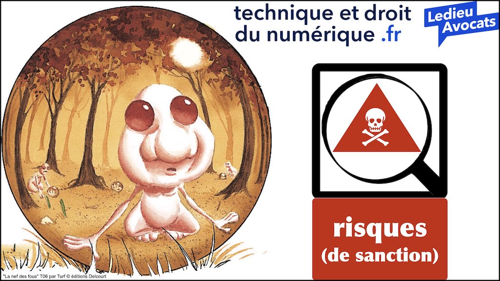 #462 principes RGPD actualité données personnelles jurisprudence CNIL #01 TEXTES + preuve + sanctions © Ledieu-Avocats 11-04-2023.028