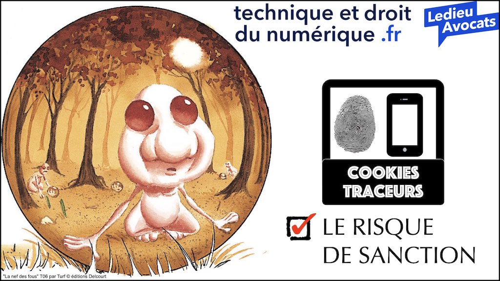 #462 principes RGPD actualité données personnelles jurisprudence CNIL #01 TEXTES + preuve + sanctions © Ledieu-Avocats 11-04-2023.046