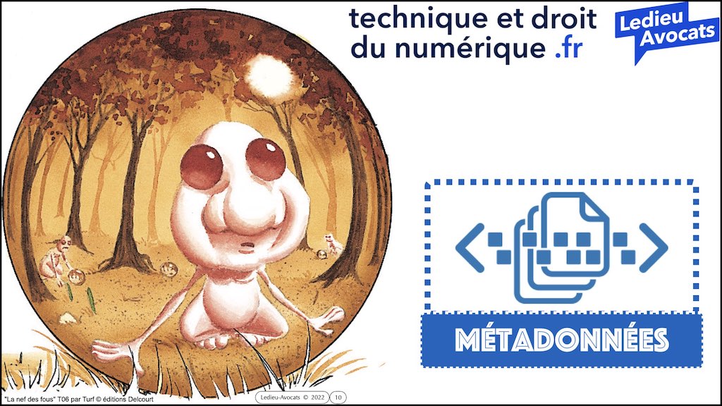 #462 principes RGPD actualité données personnelles jurisprudence CNIL #02 CONTENU METADONNEE DONNEES PERSONNELLES © Ledieu-Avocats 11-04-2023.010