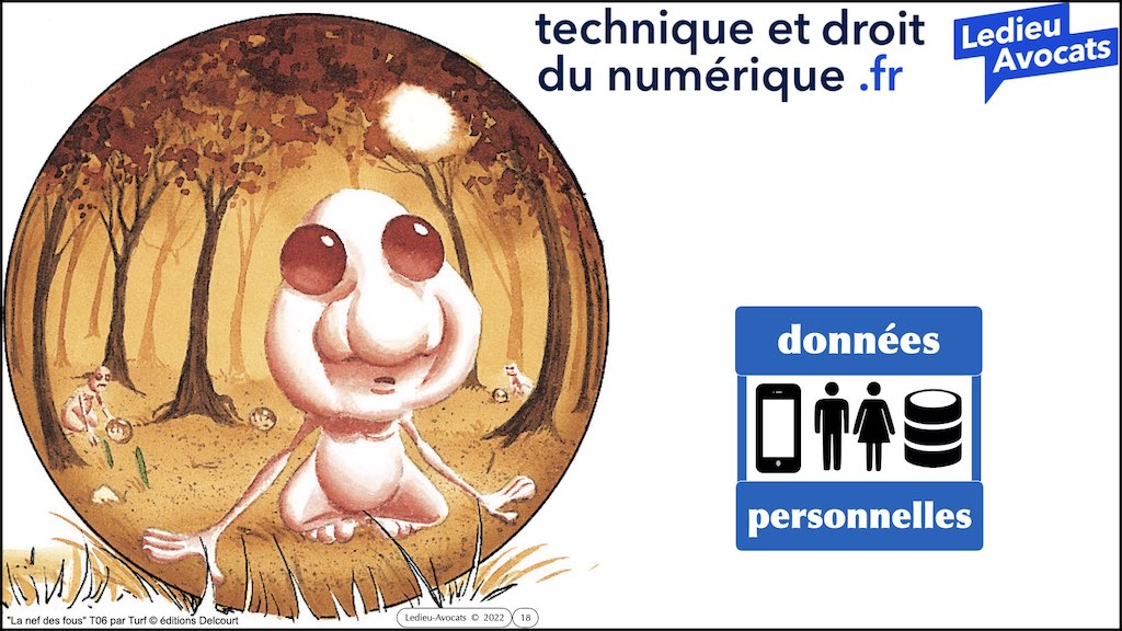 #462 principes RGPD actualité données personnelles jurisprudence CNIL #02 CONTENU METADONNEE DONNEES PERSONNELLES © Ledieu-Avocats 11-04-2023.018