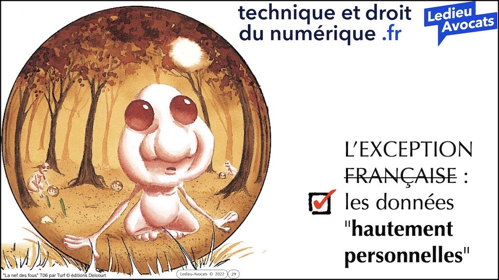 #462 principes RGPD actualité données personnelles jurisprudence CNIL #02 CONTENU METADONNEE DONNEES PERSONNELLES © Ledieu-Avocats 11-04-2023.029