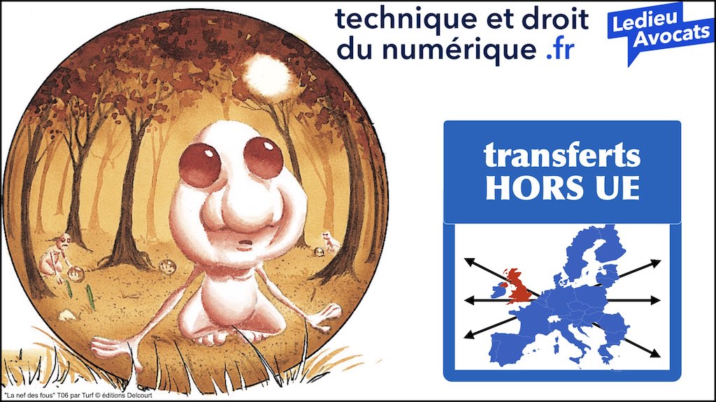 #462 principes RGPD actualité données personnelles jurisprudence CNIL #06 TRANFERT HORS UE © Ledieu-Avocats 13-02-2023.002