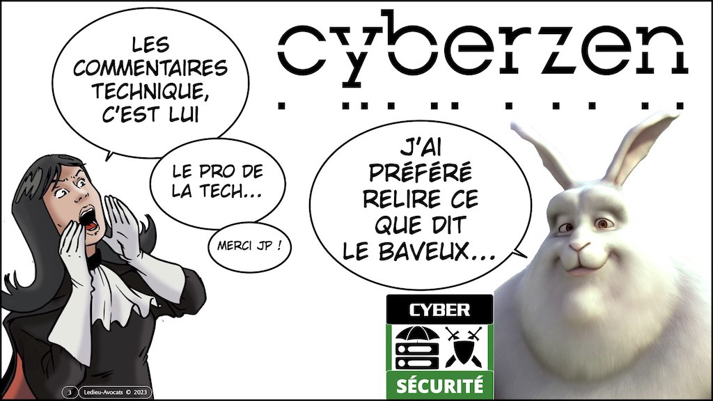 #472 projet LPM 2023 spécial cyber #6 données techniques de cache DNS © Ledieu-Avocats.003