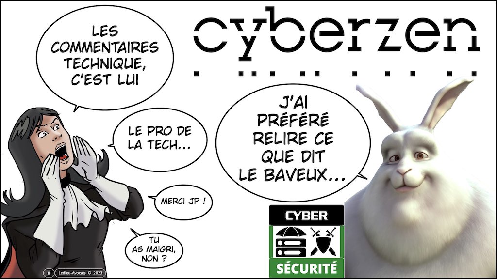 projet LPM 2023 spécial cyber #5 DNS filtrage des noms de domaine © Ledieu-Avocats 2023.008