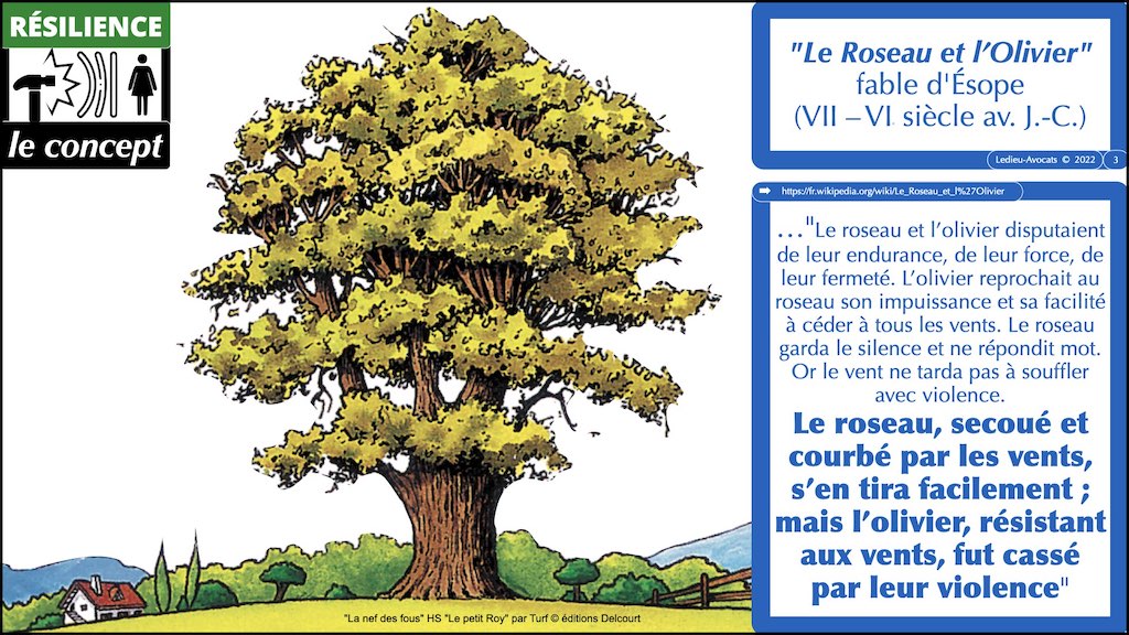 ESOPE le roseau et l'olivier résilience cyber résilience Opérationnelle numérique DORA