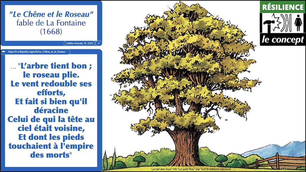La Fontaine le chêne et le roseau résilience cyber résilience Opérationnelle numérique DORA © Ledieu-Avocats
