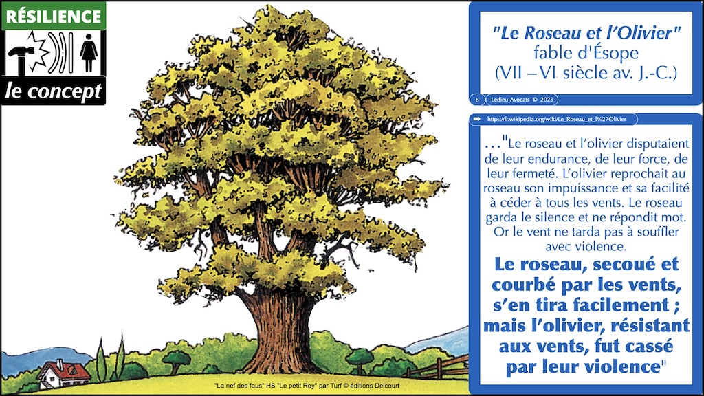 #507 déchiffrer DORA #03 résilience (numérique) et principe de proportionnalité © Ledieu-Avocats 28-10-2023.008