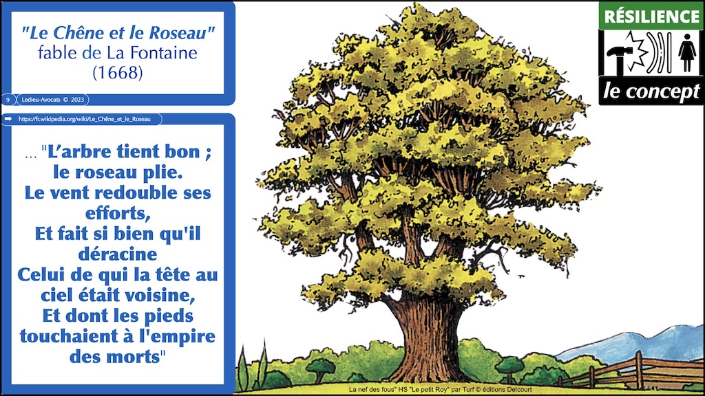 #507 déchiffrer DORA #03 résilience (numérique) et principe de proportionnalité © Ledieu-Avocats 28-10-2023.009